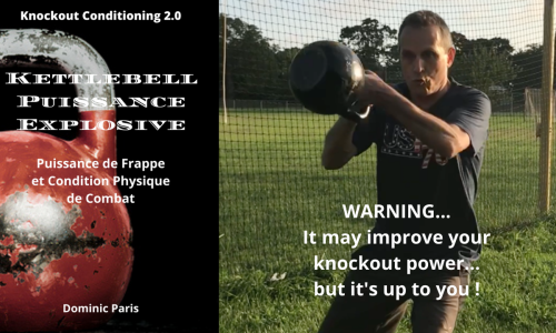 Ebook: Puissance de Frappe et Condition Physique de Combat