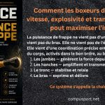 La puissance de frappe ne vient pas d'un muscle isolé. Elle ne vient pas du bras. Elle ne vient pas de l'épaule. Elle vient d'une coordination précise entre plusieurs segments du corps