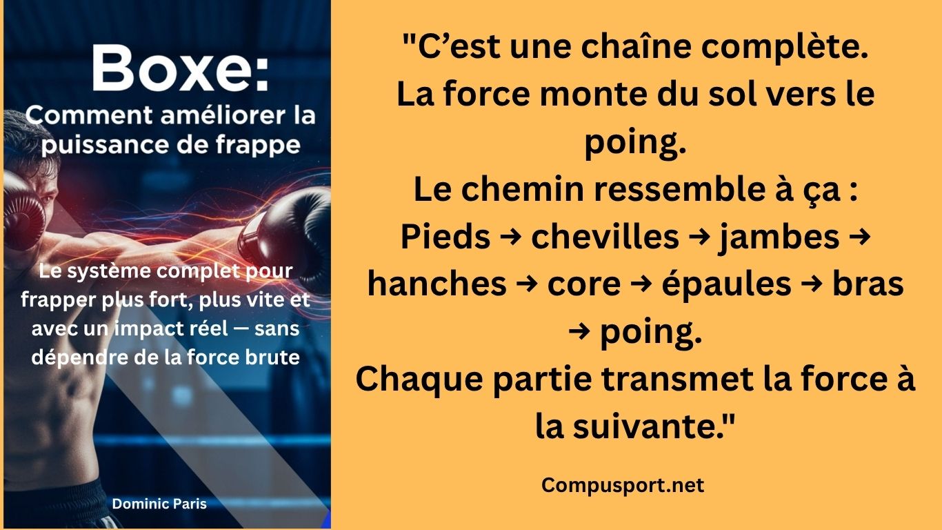 comment frapper plus fort en boxe
